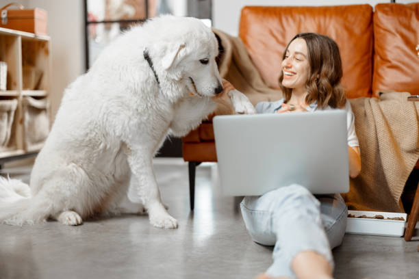 istock Woman working at home sitting with dog 1303137299