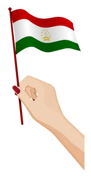 Vector illustration of Female hand gently holds small flag of Tajikistan. Holiday design element. Cartoon vector on white background