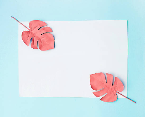istock Tropical monstera leaves on colorful background. 1303139667