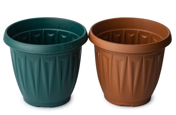 istock Flower pot for house plant isolated on white 1303141204