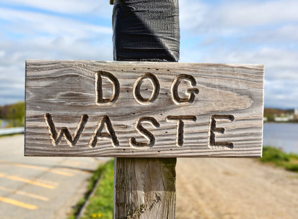 istock Dog waste sign on a wood post 1303141848