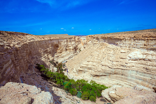 The magnificent gorge Ein Avdat is the most beautiful in the Negev desert. Israel. Picturesque ancient oasis. The concept of environmental and photo tourism. Bird's eye view