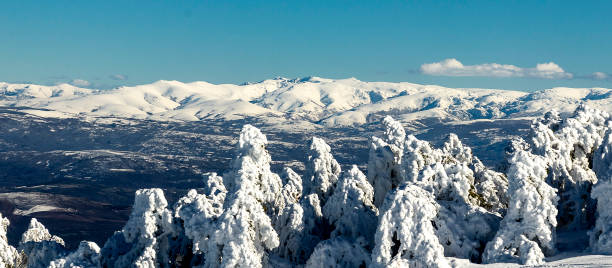 spektakularny panoramiczny widok na zakres peña trevinca całkowicie pokryte śniegiem i drzewami śnieżnymi na pierwszym planie w słoneczny dzień - sunny day mountain mountain range winter zdjęcia i obrazy z banku zdjęć