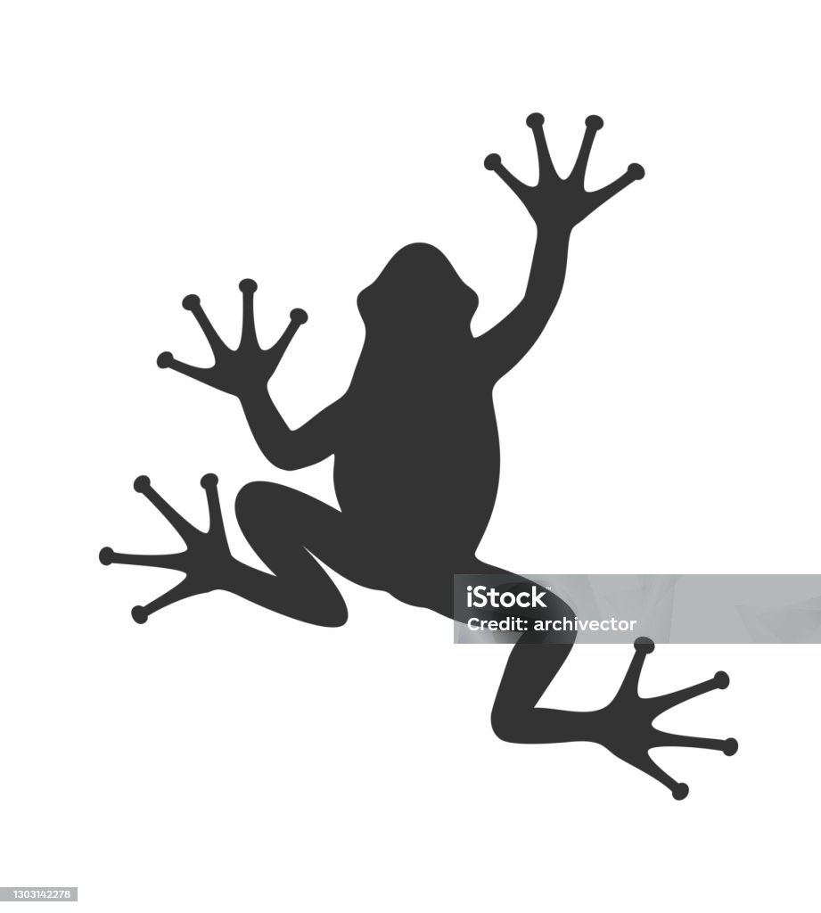 Frog Frog graphic icon. Frog black sign isolated on white background. Vector illustration Frog stock vector