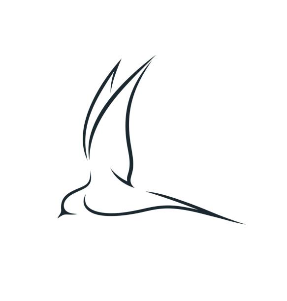 Swallow outline. Isolated swallow on white background EPS 10. Vector illustration swallow bird illustrations stock illustrations