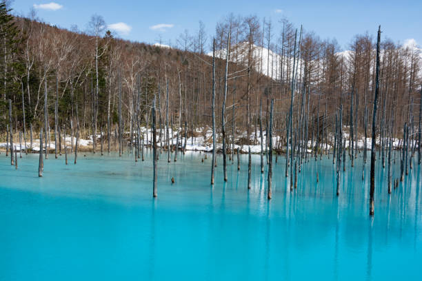 istock Spring blue pond with snow in Biei 1303145600