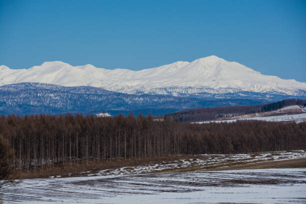 istock Upland field where snow remains and snowy mountains 1303145972