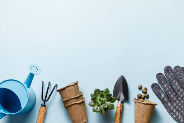 istock Gardening tools on blue background. Spring garden works concept. World environment day, arbor day, International mother day. Top view. Copy space 1303150957