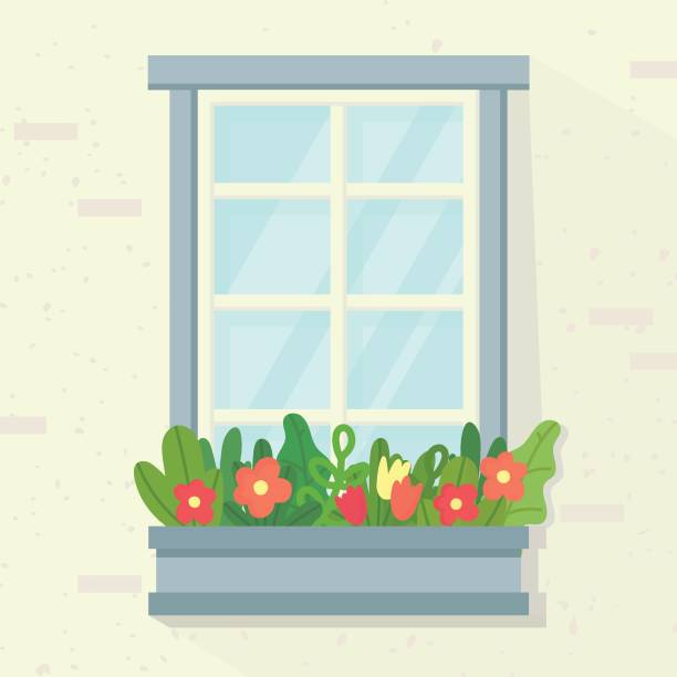 Free Stock Photo of Flowers and Window | Download Free Images and Free ...