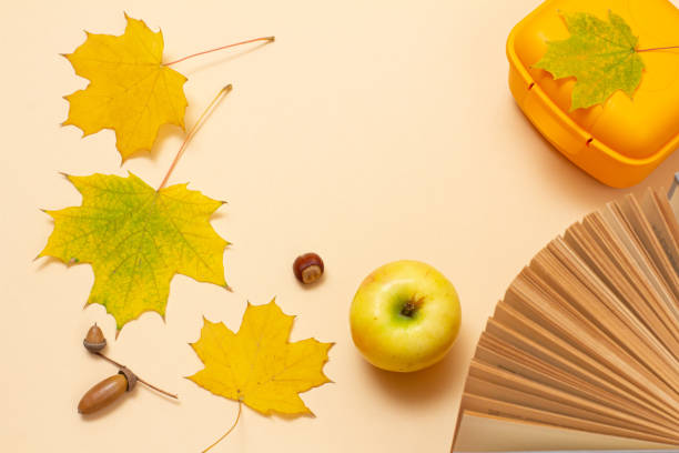 istock Ripe apple, lunchbox and dry leaves on a beige background, Top view. 1303154175