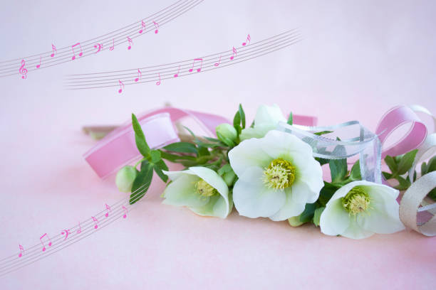 istock white helleborus niger bouquet 1303156693