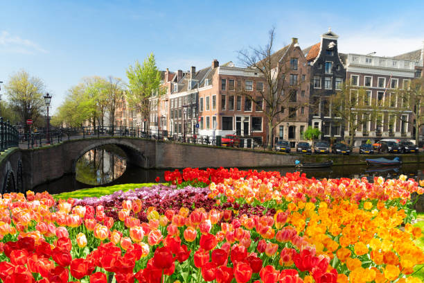 istock Houses of Amsterdam, Netherlands 1303160107