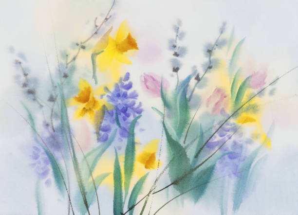 파란색과 보라색 수채화 배경의 노란색 수선화 - daffodil spring backgrounds sky stock illustrations