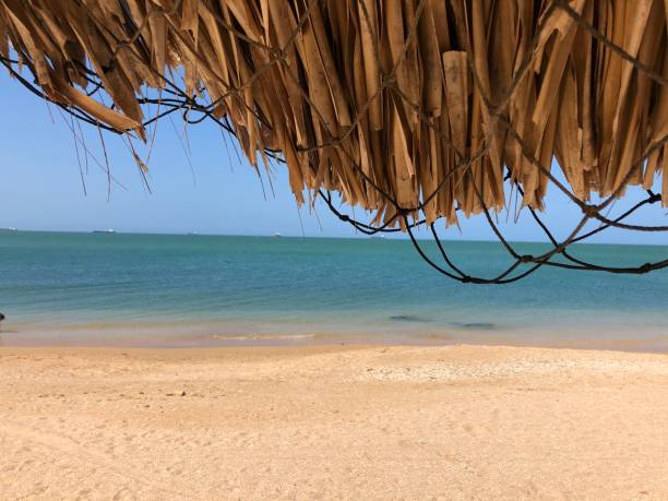 istock sunny day on a beach shore with handmade umbrellas 1303162879