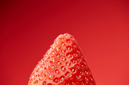 Single fresh raw clean red whole one alone ripe close up macro view detailed strawberry isolated on the bright solid red fond background