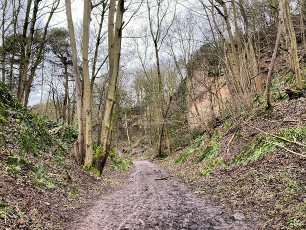 istock A view of the woods around Grinshill 1303165274