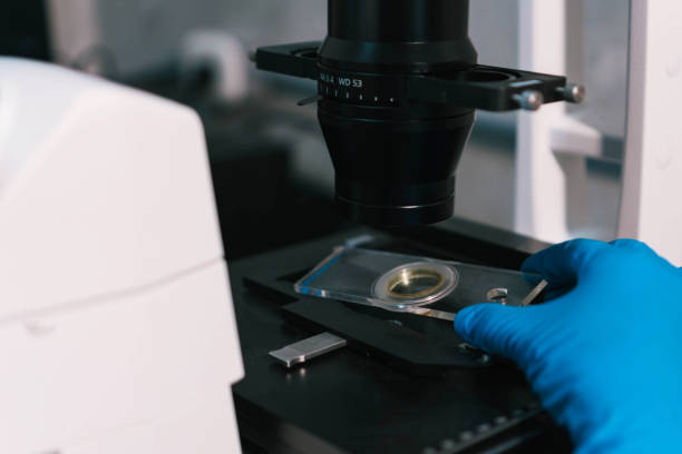 istock Hands of a person with blue gloves working at a microscope. 1303165754