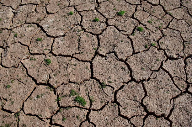 Conceptual climate change image of World Map on dry and cracked landscape over clear sky. Nasa image used: https://apod.nasa.gov/apod/image/0304/bluemarble2k_big.jpg