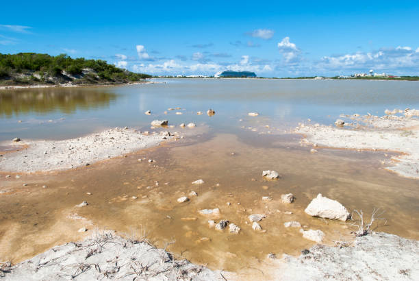 istock Grand Turk Island Brown Lagoon 1303169394