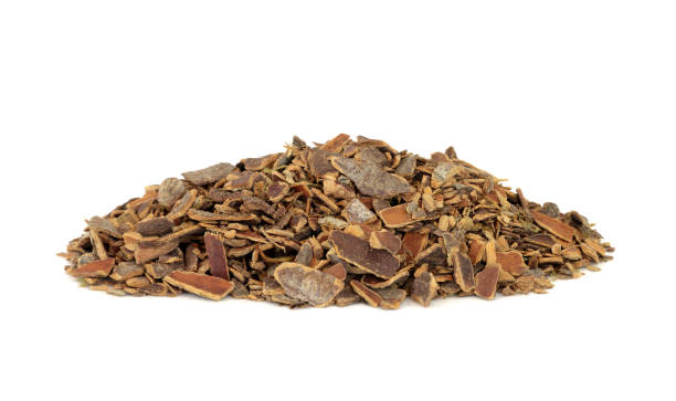 istock Cascara Herb Bark Herbal Medicine 1303171735