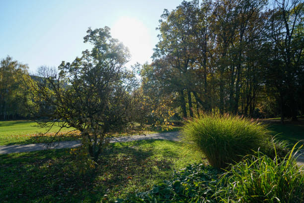 istock Artificially created park in Germany Bavaria for recreation 1303173244