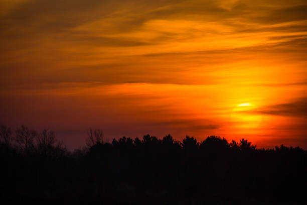 istock Colorful sunset sky and clouds with dramatic light and copy space 1303173293