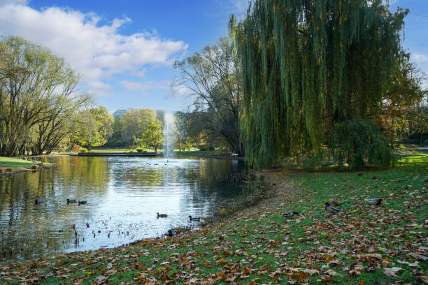 istock Artificially created park in Germany Bavaria for recreation 1303173579