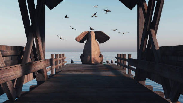 istock Elephant sitting on a pontoon with seagulls around . This is a 3d render illustration . 1303175249