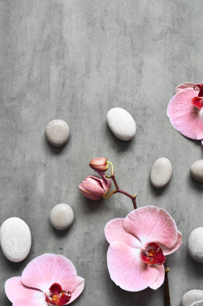 istock Flat lay composition with spa stones, orchid pink flower on grey background. 1303175264