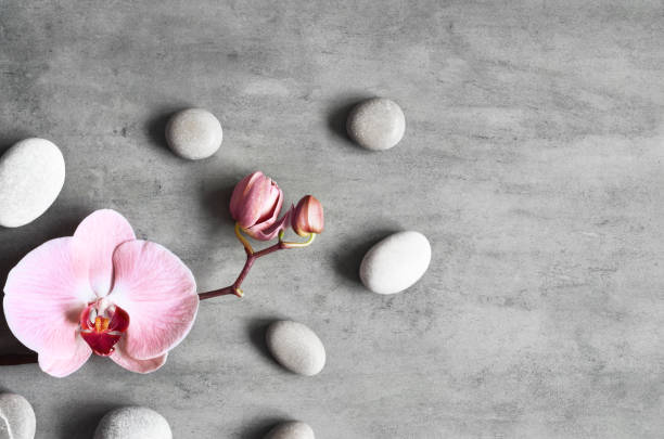 istock Flat lay composition with spa stones, orchid pink flower on grey background. 1303175916