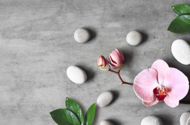 istock Flat lay composition with spa stones, orchid pink flower on grey background. 1303175950