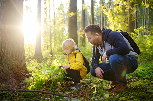 School boy and his father hiking together and exploring nature with magnifying glass. Child with his dad spend quality family time together in the sunny summer forest. Daddy and his little son