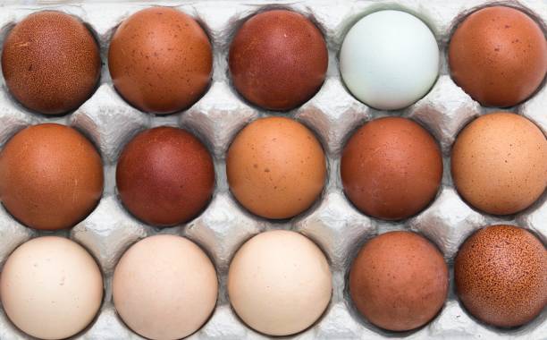 istock Farm fresh spotted organic eggs mix of different colors, full frame texture background 1303187791