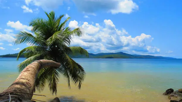 Photo of Port Blair Island against inclined coconut tree in Andaman and Nicobar Islands, India.