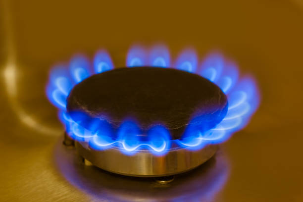istock Flames of gas - kitchen stove 1303189233