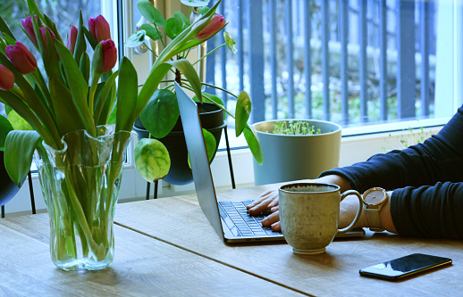 Home office during springtime. Woman working on laptop with fresh spring tulips, coffee mug and mobile phone on the table.