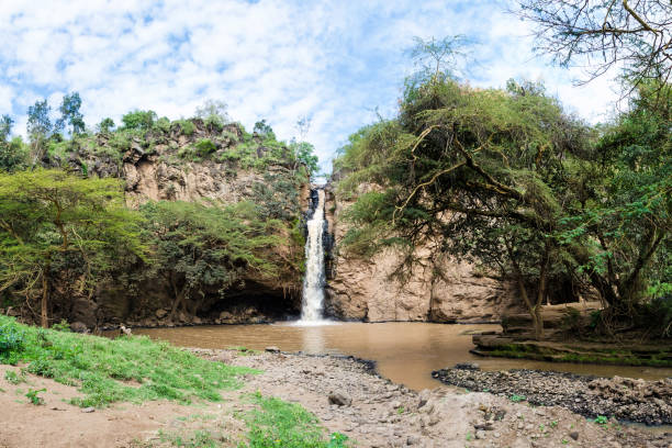 Makalia waterfall on the southern end of lake Nakuru has a drop of about 10 m off a sheer cliff, a large plunge pool, and a campsite nearby.