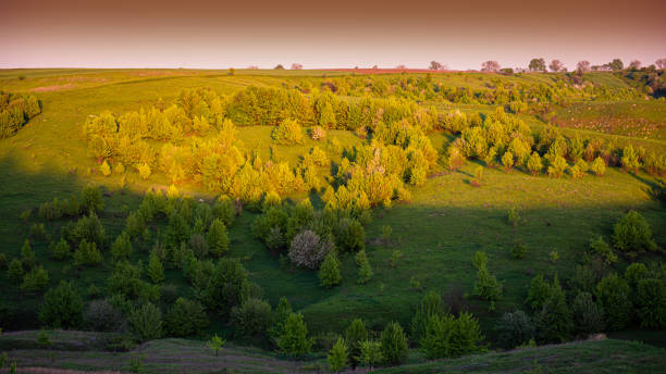 istock shadow and light on a hillside in the evening in the countryside. 1303191833