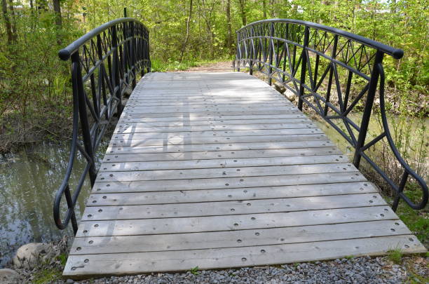 istock wooden bridge with railing in the forest or woods 1303192706
