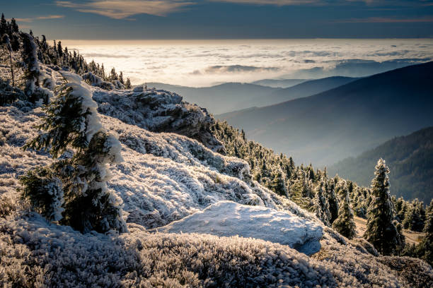 istock Scenic landscape with spruce trees covered with rime 1303195495