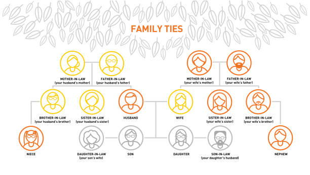 Family tree vector diagram Family tree diagram, family ties infographics, generations of relatives.  Parents, children  icons connected with lines on  genealogical tree. Vector illustration isolated on white background. pics of family tree chart stock illustrations