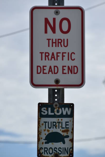 istock No Through Traffic and Slow for Turtles 1303200731