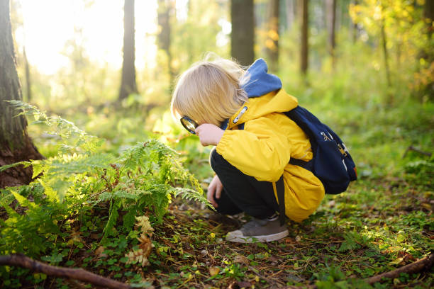 未就学児は虫眼鏡で自然を探検しています。小さな子供は拡大鏡でシダの葉を見ています。森の中で好奇心旺盛な子供のための夏休み。ハイキング。 - 好奇心 ストックフォトと画像