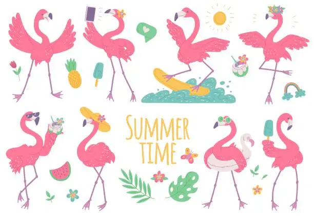 Vector illustration of Pink flamingos summer set with ice cream, on surfboard and wearing sunglasses.