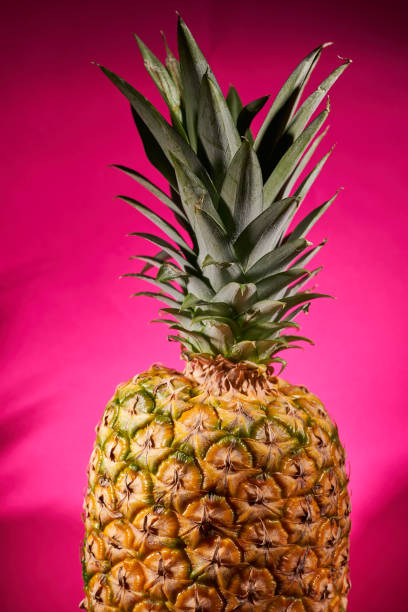 istock Ripe pineapple on pink background. Close-up shooting 1303207927
