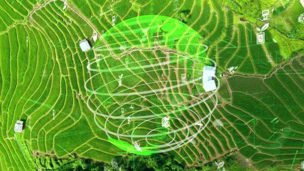 istock Future environmental conservation and sustainable ESG modernizat 1303208796