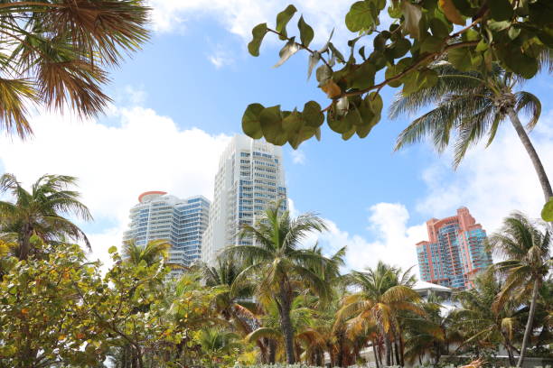 istock Miami Beach in Florida, USA 1303210938