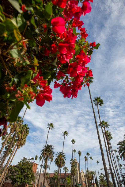 istock Riverside, California 1303212116