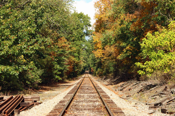 istock Railroad Track into the woods 1303213608