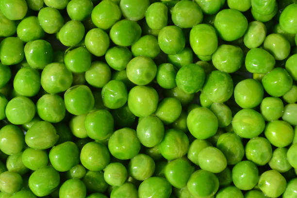 istock Background from fresh green peas 1303213753